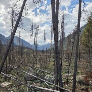 Meet your Posher, Emeline